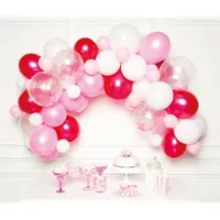 IPK DIY Ballonnen Set Roze