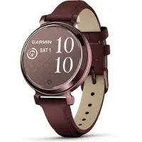 Garmin lily 2 classic