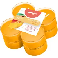 Bolsius Geurkaars True Scents Mango Geel 8 Uur 8 Stuks