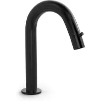 Hotbath Cobber U001 fonteinkraan geborsteld zwart PVD