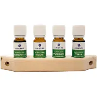 Emendo - Saunatuoksu - 4 verschillende sauna geuren