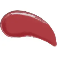Profusion Dreamy Lip Plump Lip Gloss 1,5 g (Tint : Gezellig naakt)