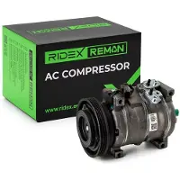 RIDEX 447K0445R Aircopomp