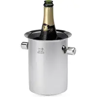Peugeot Champagne Emmer Seau Équilibreur Thermique Inox
