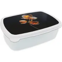 MuchoWow Broodtrommel Wit - Lunchbox Bloem - Orchidee - Oranje - Brooddoos 18x12x6 cm - Brood lunch box - Broodtrommels voor kinderen en volwassenen
