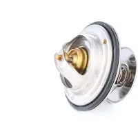 RIDEX 316T0019 Thermostaat, koelvloeistof