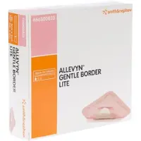 Smith&Nephew Allevyn Gentle Border Lite 10 x 10 cm | 10 stuks