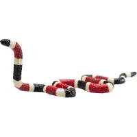 Small Foot Mojo Fun Koraalslang, 3 stuks, Wilde dieren, Rood, Zwart, Geel, Polyvinylchloride (PVC)
