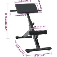 vidaXL Hyperextension bank Zwart 100,5 x 70 x 78 cm Gepoedercoat staal