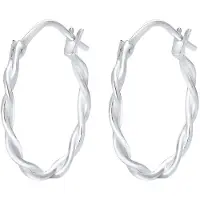 Elli Oorbellen zilver