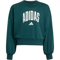 Adidas Sportief sweatshirt smaragd / wit