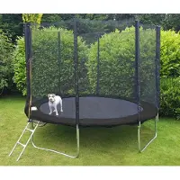 Viking Choice Trampoline 305 cm Zwart met Veiligheidsnet & Ladder - Max. 120 kg