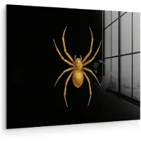 MuchoWow Glasschilderij 40x30 cm - Schilderij acrylglas - Spin - Goud - Minimalistisch - Poten - Foto op glas - Muurdecoratie woonkamer - Wanddecoratie slaapkamer - Schilderijen