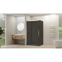 Van Rijn Zijwand Products ST09 tbv Hoekcabine 120x200 cm 8 mm Rookglas Incl. Beslag Chroom