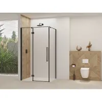 Van Rijn Nisdeur Products ST07 Voor Hoekcabine 100x200 cm 8 mm Helder Glas Incl. Beslag, Greep en Stabilisatiestang Mat Zwart