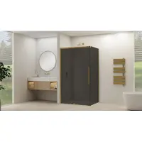Van Rijn Schuifdeur Products ST09 Voor Hoekcabine 120x200 cm 8 mm Rookglas Softclose Incl. Beslag en Greep Geborsteld Messing