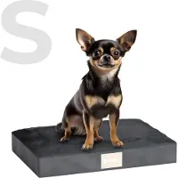 JC Pets Orthopedisch Hondenkussen - Maat S (53 x 39 x 8 cm) - Hondenbed, Benchkussen & Hondenmand met Anti-Slip en Wasbare Hoes - Geschikt voor Hondenbench