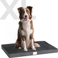 JC Pets Orthopedisch Hondenkussen - Maat XL (101 x 67 x 8 cm) - Hondenbed, Benchkussen & Hondenmand met Anti-Slip en Wasbare Hoes - Geschikt voor Hondenbench