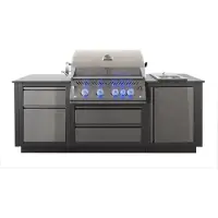 Napoleon OASIS 105 Compact Inbouwbarbecue 700 Serie 32