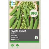 Intratuin Biologisch Groentezaden Doperwt (pisum Sativum 'Karina')