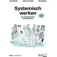 BOOM Systemisch werken (Paperback)