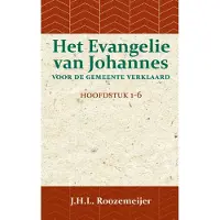 Importantia Scan & Print Het Evangelie van Johannes voor de Gemeente verklaard 1 (Paperback)