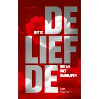 Singel Uitgeverijen Het is de liefde die we niet begrijpen
