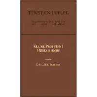 Importantia Publishing De Kleine Profeten I (Paperback)