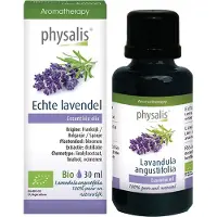 Physalis Lavendel echte