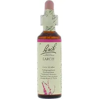 Bach Larch/lariks