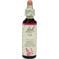 Bach Elm/iep