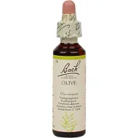 Bach Flower Remedies Olijf 23