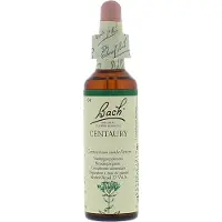 Bach Flower Remedies Duizendguldenkruid 04