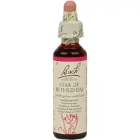 Bach Flower Remedies Vogelmelk 29