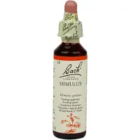 Bach Bloesem No 20 Mimulus 20 ml Druppels