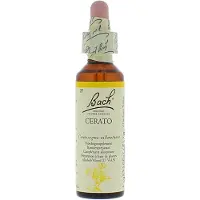 Bach Flower Remedies Loodkruid 05