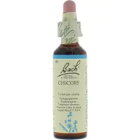 Bach Chicory/cichorei