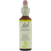 Bach Flower Remedies Hondsroos 37