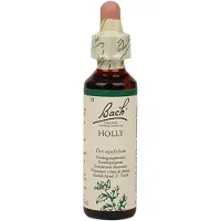Bach Holly/hulst