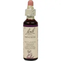 Bach Flower Remedies Reuzenbalsemien 18