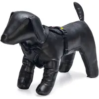 Beeztees Hondentuig Parinca Premium Y-Tuig - Hondenharnas kleine honden - Nylon - Zwart - 37-40cmx15mm