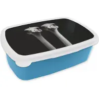 MuchoWow Broodtrommel Blauw - Lunchbox Struisvogels - Halzen - Zwart - Minimalistisch - Brooddoos 18x12x6 cm - Brood lunch box - Broodtrommels voor kinderen en volwassenen