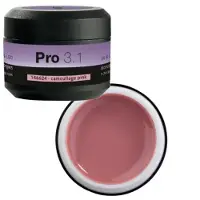 Peggy Sage Pro 3.1 Uv &amp; Led Monophase Gel 15gr