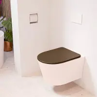 Mondiaz LAVIE hangend toilet single fire rimless diepspoel Rosee, Toiletzitting met quick-release & softclose Rust