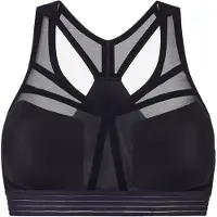 Hästko | Bra No. 38 | Sport-BH