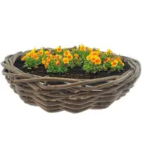 Van der leeden Plantenschaal Grijs D 41 H 10 Cm