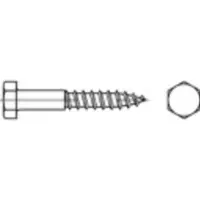 Toolcraft 109315 Zeskantbout 10 mm 60 mm Buitenzeskant DIN 571 Staal Verzinkt 100 stuk(s)