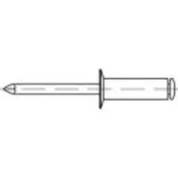 Toolcraft 160181 Open popnagel (Ø x l) 4 mm x 8 mm Staal Staal 500 stuk(s)