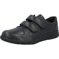 Solidus 64500-00091 hardy