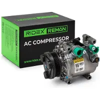 RIDEX 447K0433R Aircopomp